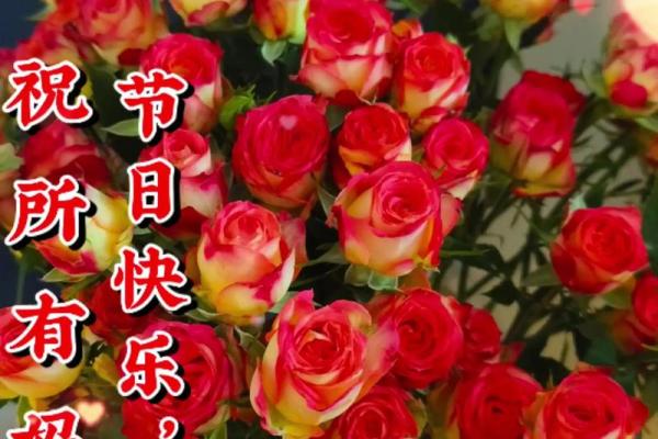 祝妈妈节日快乐
