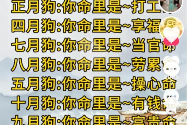 姻缘配对算命超准免费 姻缘算命网？
