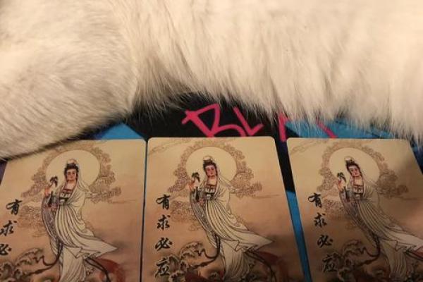观音灵签司马懿
