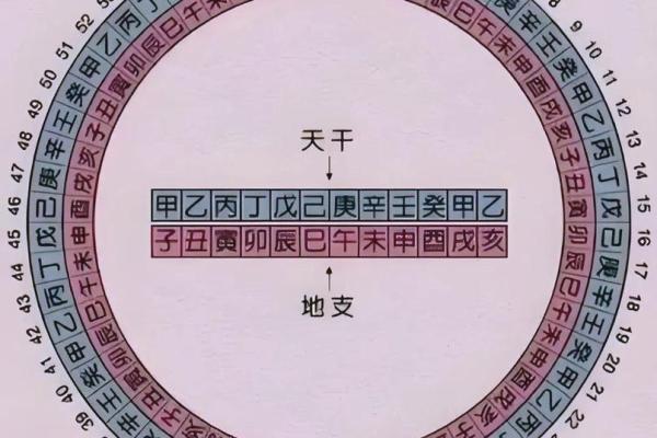 八字中透干算命意思