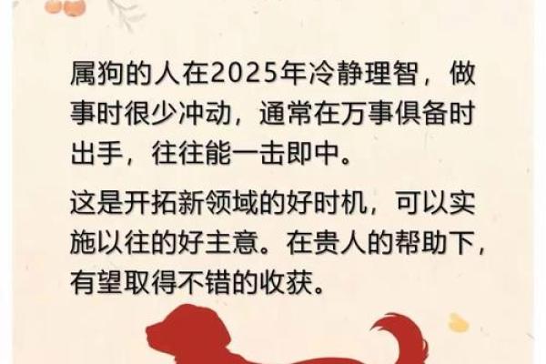 围绕中心生肖养，打造最全生肖百科！