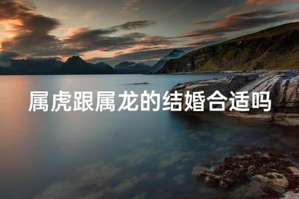 生肖虎配对
