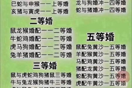 婚姻属相配对大全很准 婚姻属相配对大全很准十二生肖男女属相配对