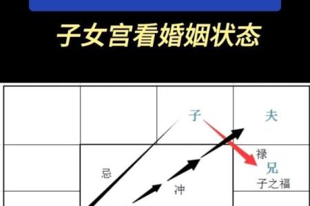 张杰紫薇斗数