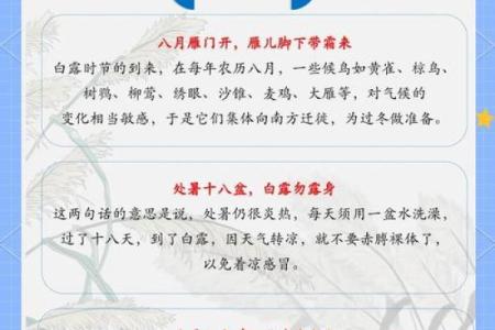 白露这一天有什么民俗-