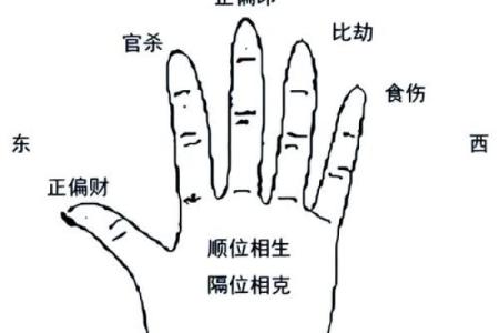 生辰八字天狗星：一个影响命运的神秘存在