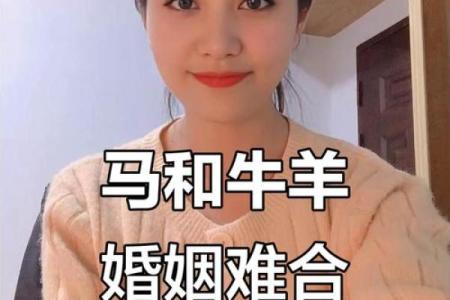 属马的女人和属牛的男人配吗 情感配对深度分析