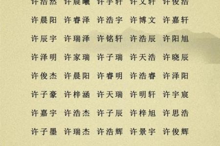 起名字生辰八字起名免费