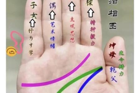 女人的事业线止于感情线命运如何风水