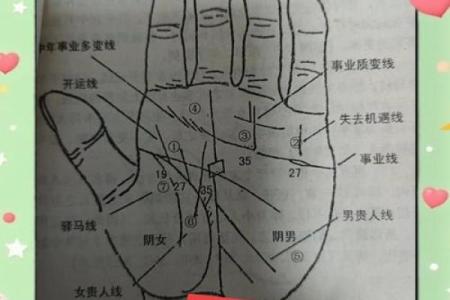 《手相学习百科》：手纹的成长与改变