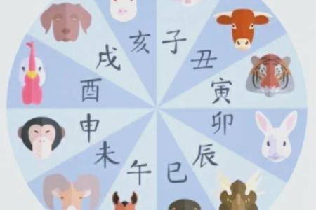 属兔和什么属相最配对 属兔和什么属相相冲