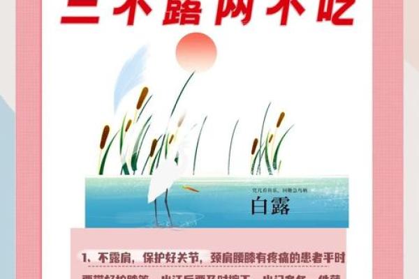 白露节气的含义是什么 白露时节有什么民俗活动