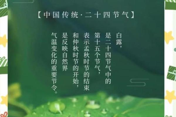 白露节气的含义是什么 白露时节有什么民俗活动