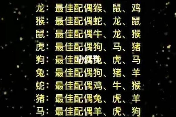 属马女性配对大揭秘：羊男VS狗男，成功婚姻密码在哪？