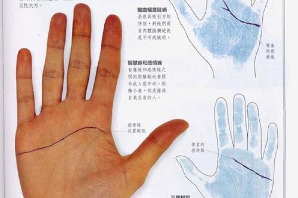 《手相学习百科》：手的形状