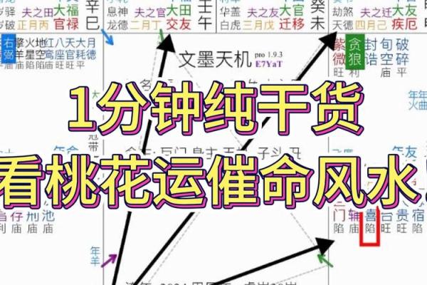 紫薇斗数看减肥