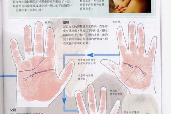 《手相学习百科》：双手之间的差异