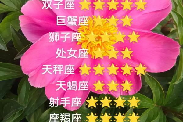 星座运势1021
