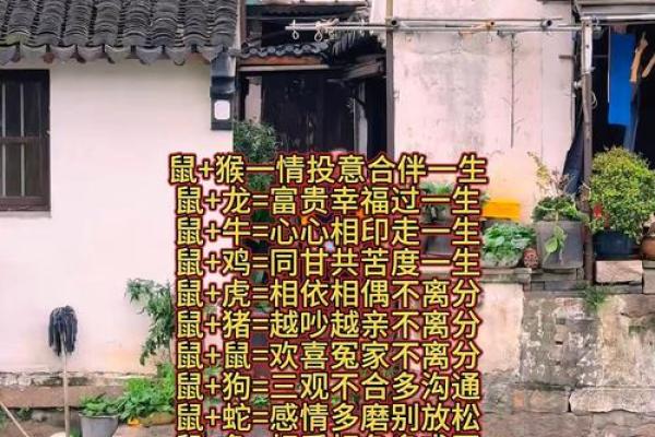 属鼠人姻缘配对 属鼠的人姻缘怎么样？