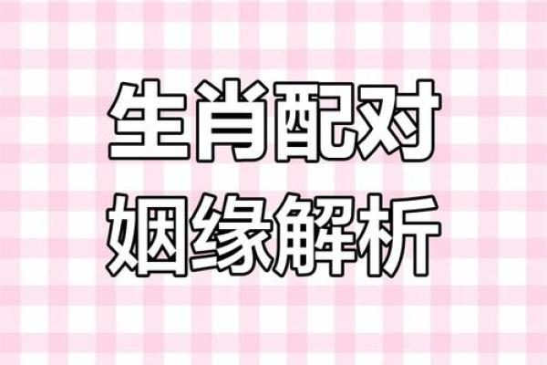 兔鼠生肖配对姻缘 兔与鼠的婚姻相配吗