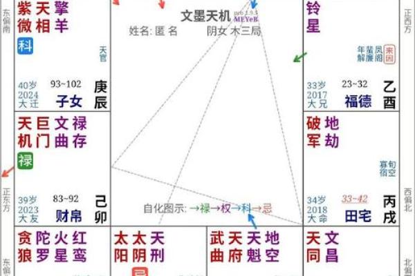 紫薇斗数代表什么
