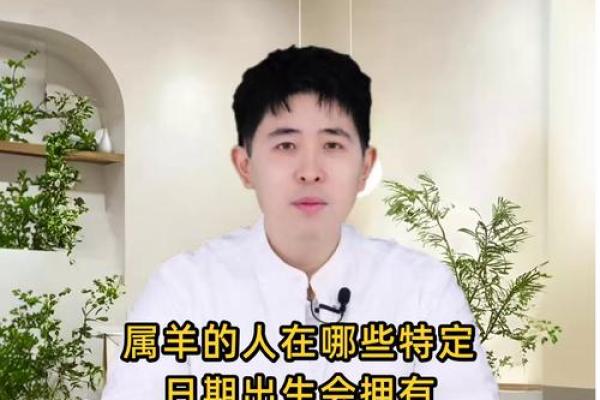 属羊出生吉日 几点出生最好