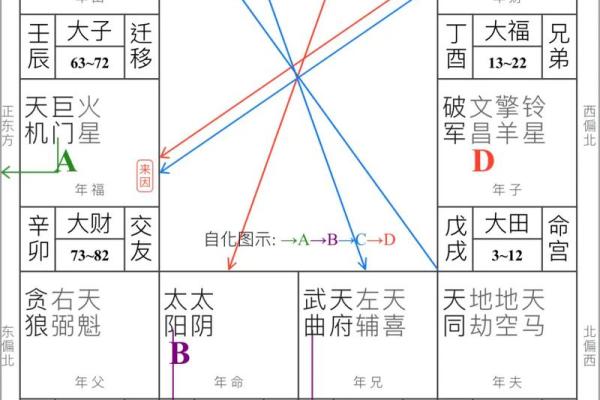 紫薇斗数向心忌