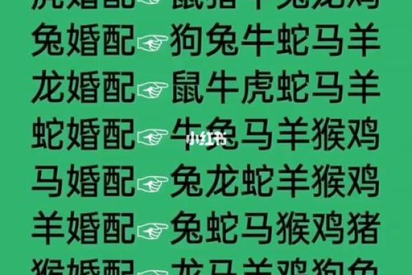 生肖查询：1996年属什么生肖配对