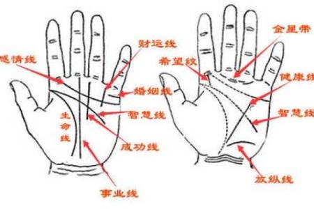算命人口变动
