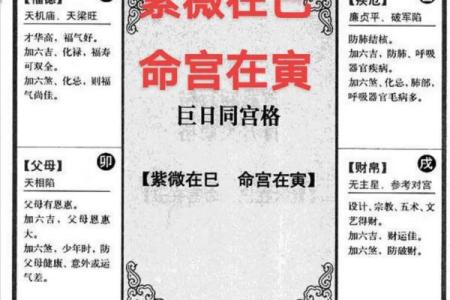 紫薇斗数紫薇入事业