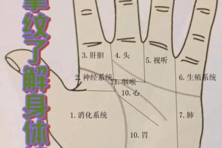 《手相学习百科》：手相健康记号