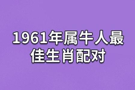 61年属什么生肖配对
