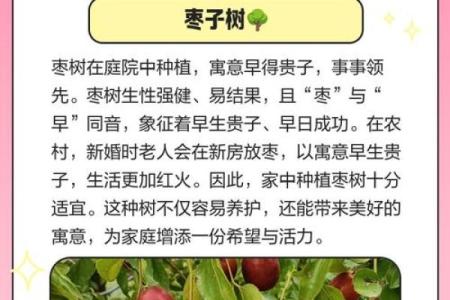 以百科解析，哪个生肖被以枣树代表？