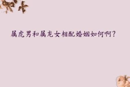 生肖配对-虎和龙的性格特点和最佳组合