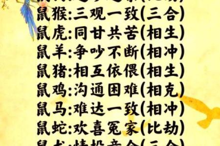 96鼠98年虎婚配穷一辈之婚姻配对解析