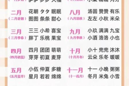 起名网生辰八字起名