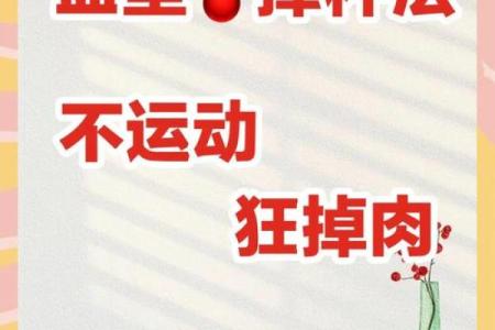 血型最多的是哪种 哪种血型人群最多