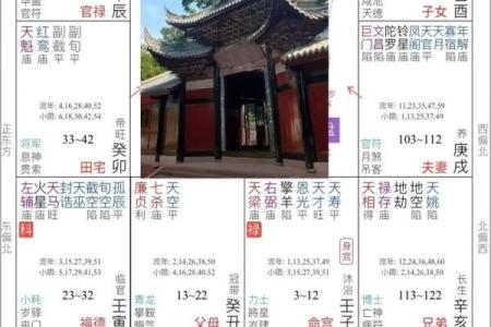 紫微斗数之交友宫与诸星，天同星在交友宫是什么意思？