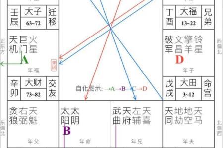 紫薇斗数向心忌