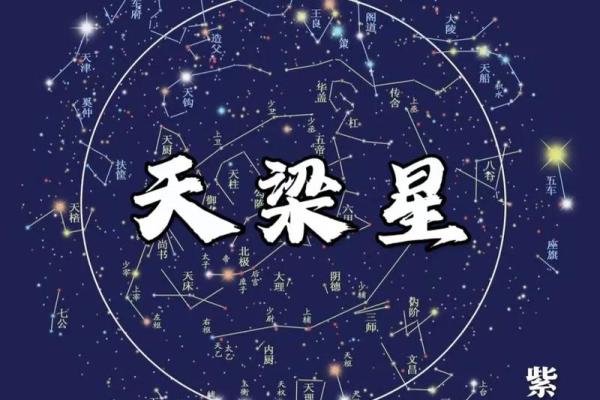 紫薇斗数shenpa