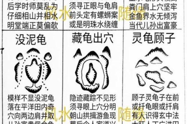祖坟的风水_是一个家庭更好的风水你认同这句话吗