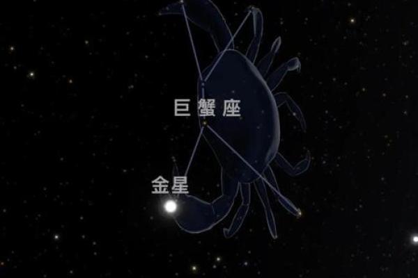 最不爱干家务活的星座有哪些