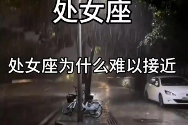 处女座最离不开的星座是哪些- 处女座离不开一个人的表现