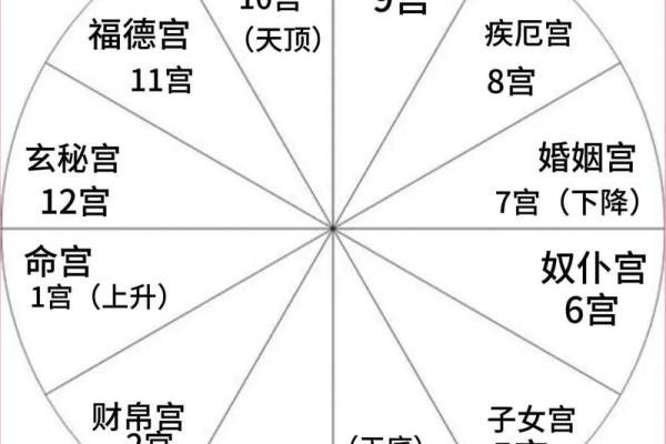 学习占星必备知识（星座的分类、行星、宫位）