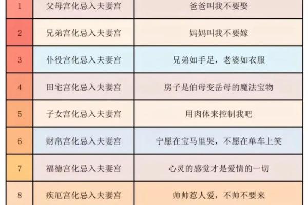 紫微斗数术语解释之：对星