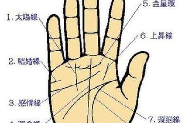 看手相算命图解：指纹