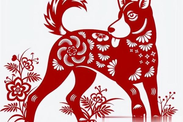 94年狗和94年狗是上等婚吗 两只94年生的狗配对算是高配婚姻吗