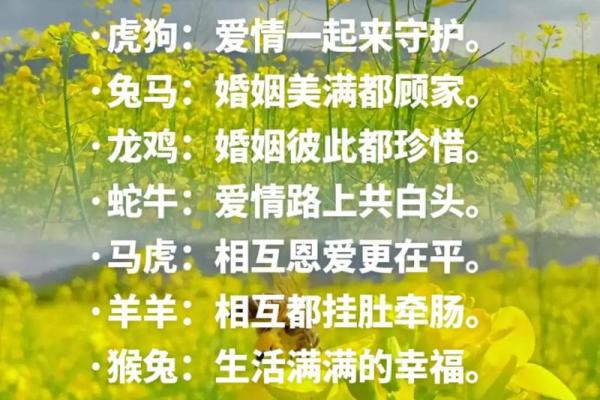 1978年属什么生肖 1978年属什么生肖配对最好