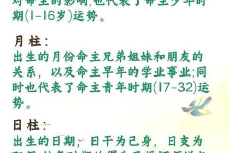 周易八柱八字算命命理解析