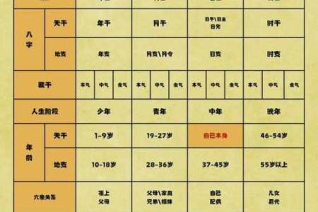 八字初学者